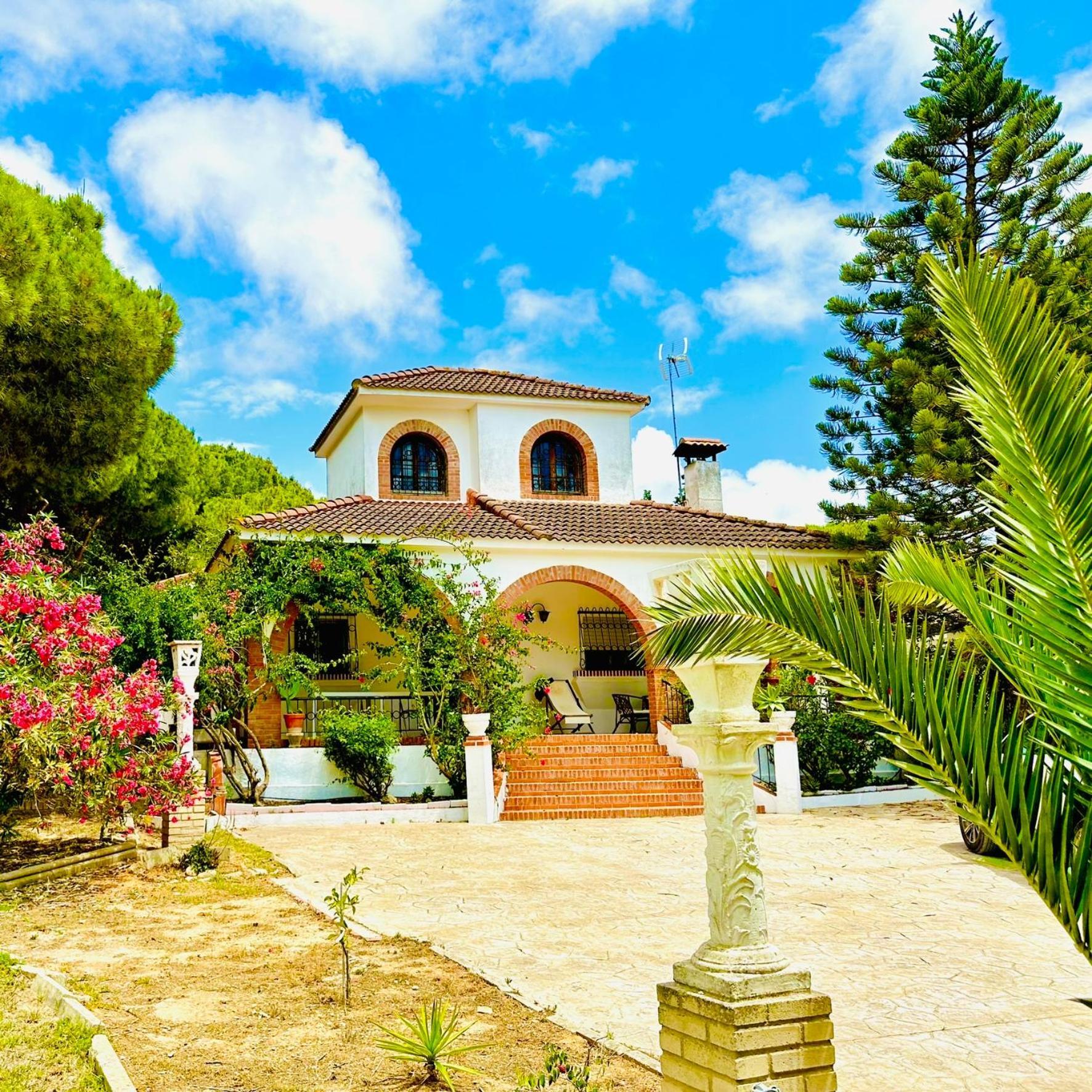 Agradable Con Piscina En La Barrosa Holiday home