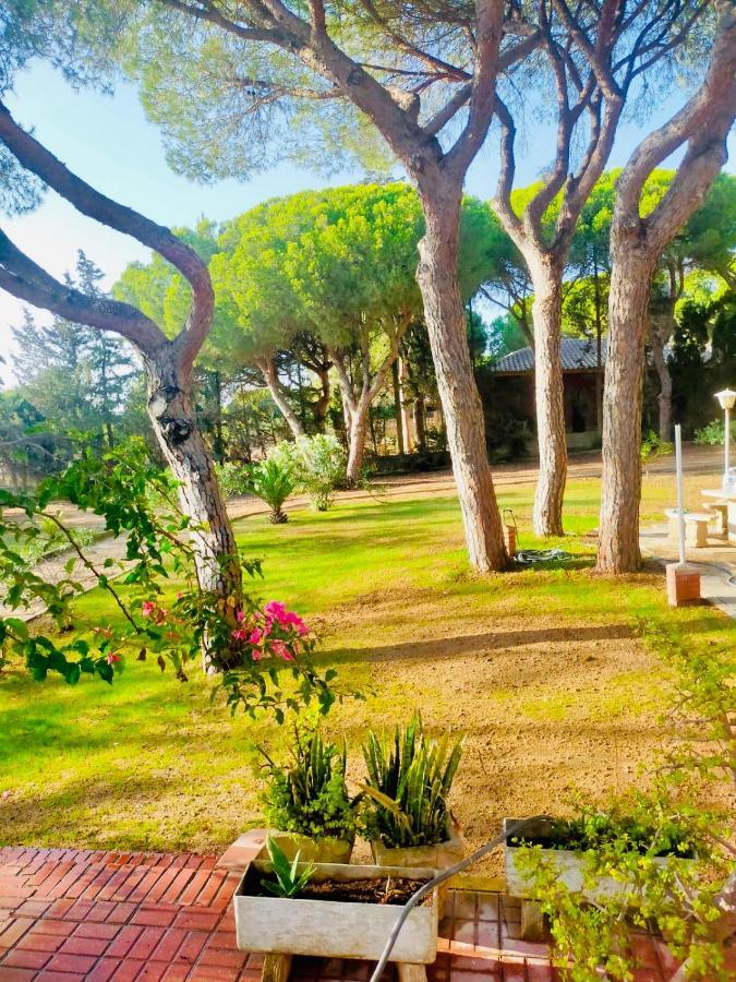 Agradable Con Piscina En La Barrosa Vakantiehuis Chiclana de la Frontera