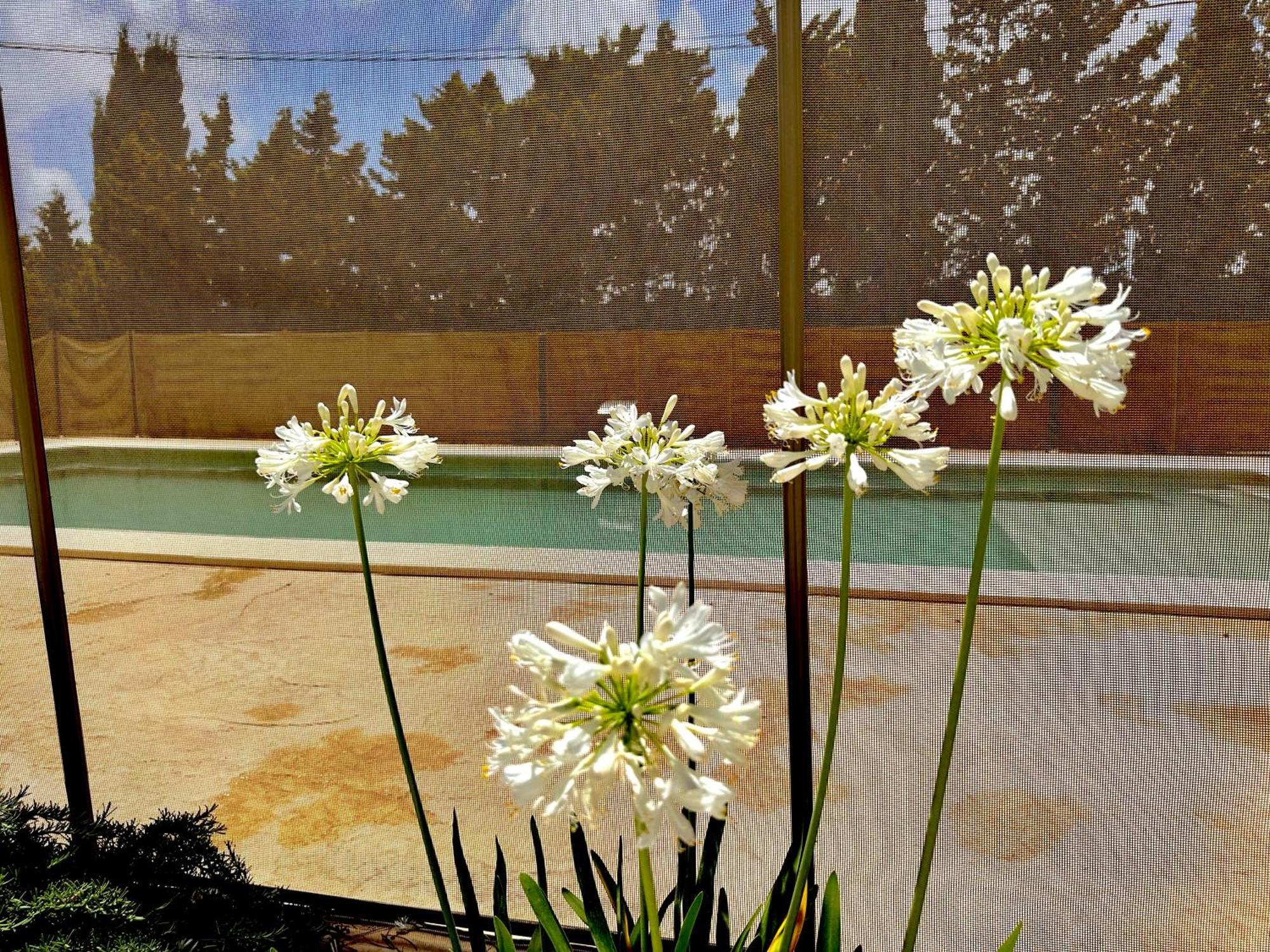 Agradable Con Piscina En La Barrosa Vakantiehuis Chiclana de la Frontera